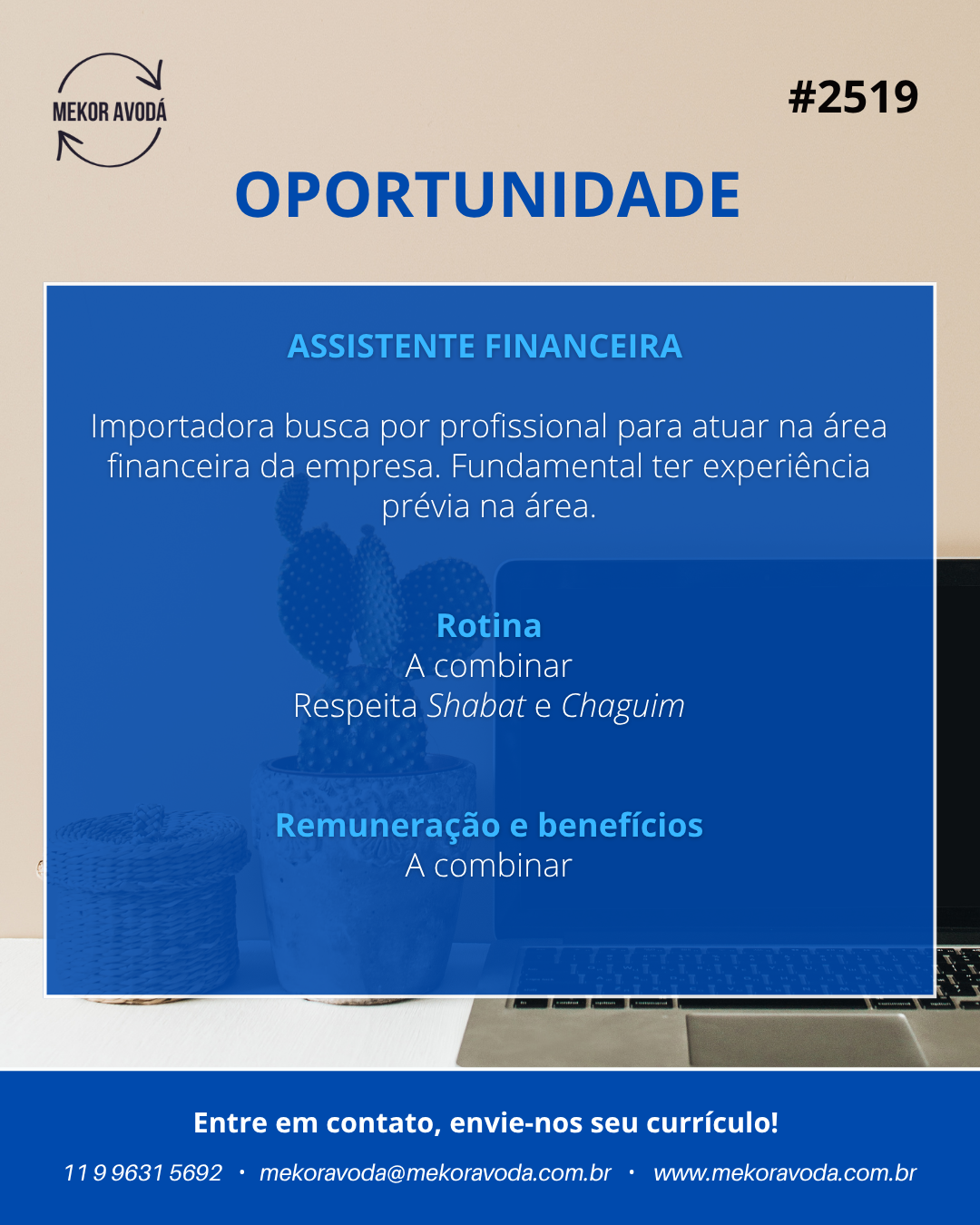 Assistente Financeira