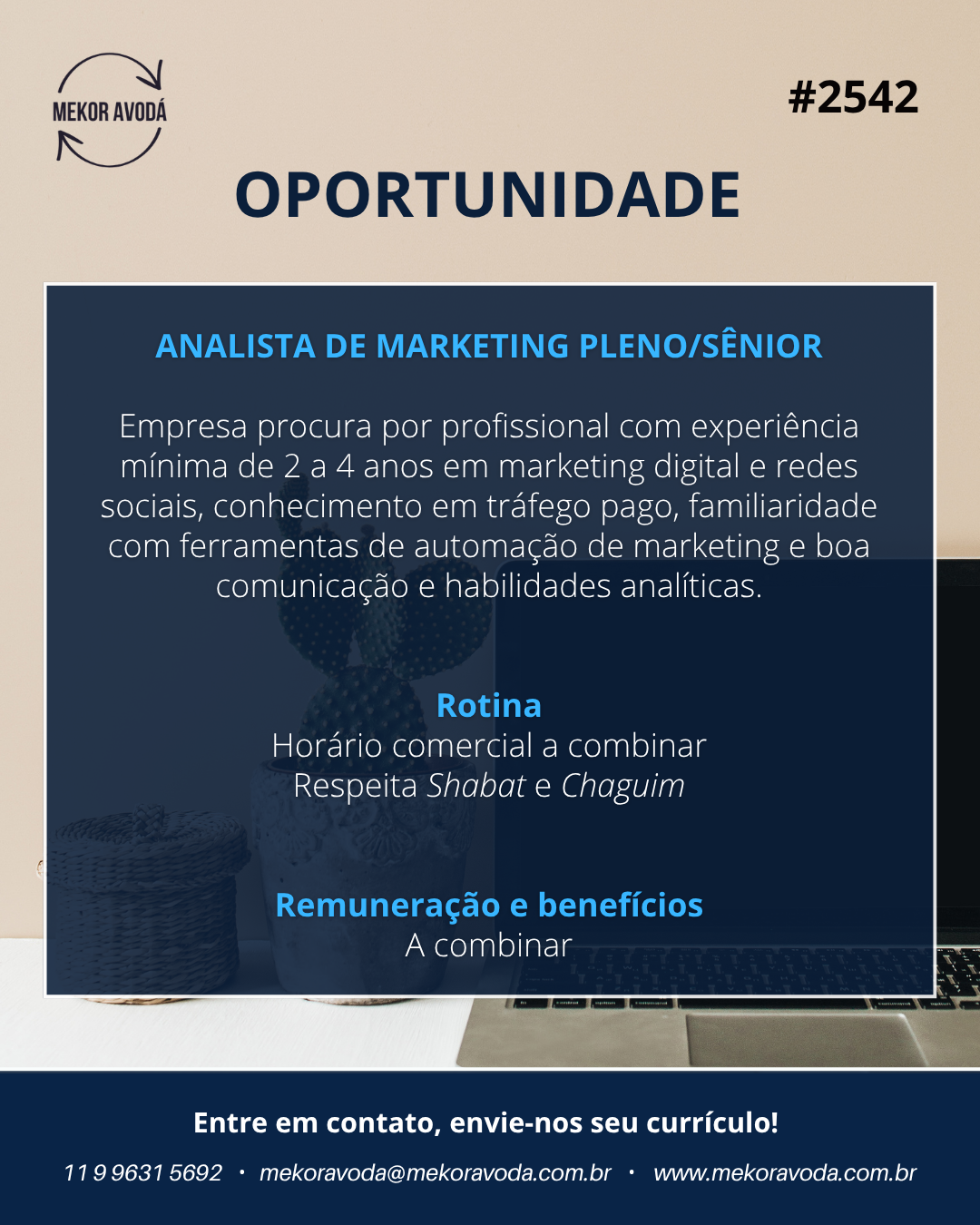 2542 – Analista de Marketing Pleno/Sênior