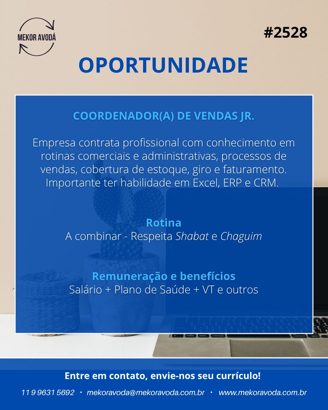 Coodernador(a) de Vendas Jr.